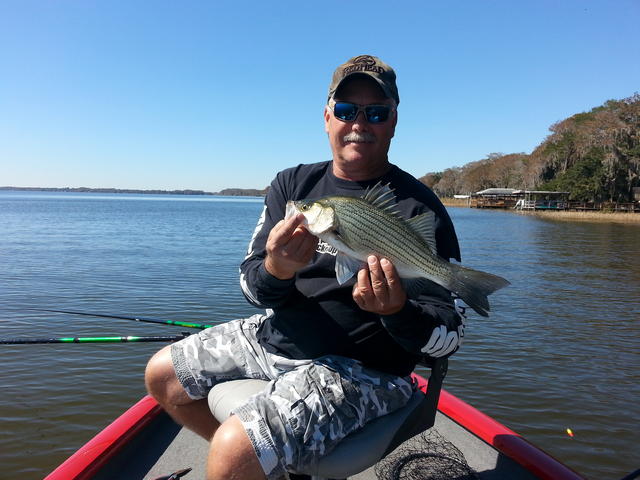 Name:  striper.jpg
Views: 581
Size:  49.5 KB