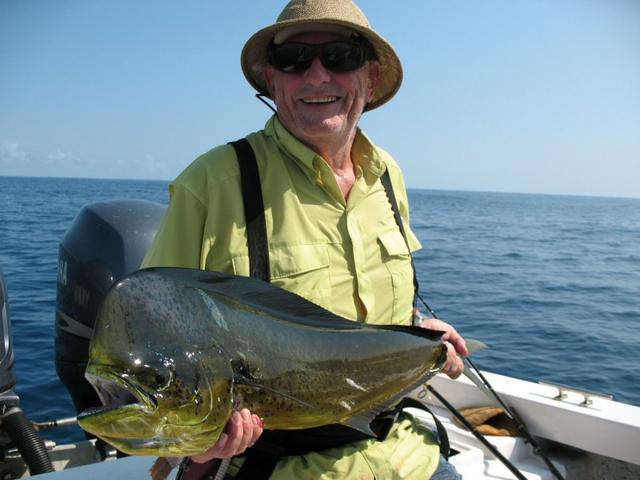 Name:  Mahi Mahi.jpg
Views: 199
Size:  39.5 KB