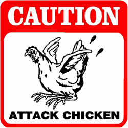 Name:  AttackChicken.gif
Views: 264
Size:  12.8 KB