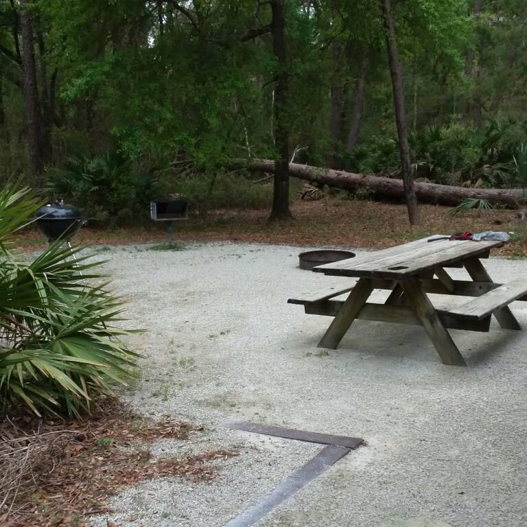 Name:  20180330_155524.jpeg
Views: 514
Size:  103.7 KB