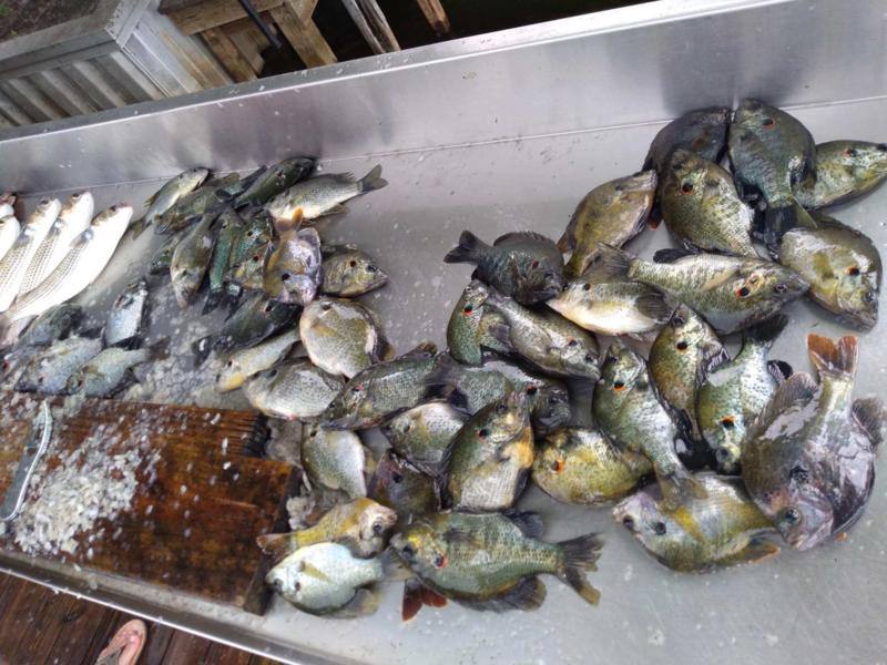 Click image for larger version.&nbsp;

Name:	shellcrackers.jpg&nbsp;
Views:	619&nbsp;
Size:	85.6 KB&nbsp;
ID:	350123