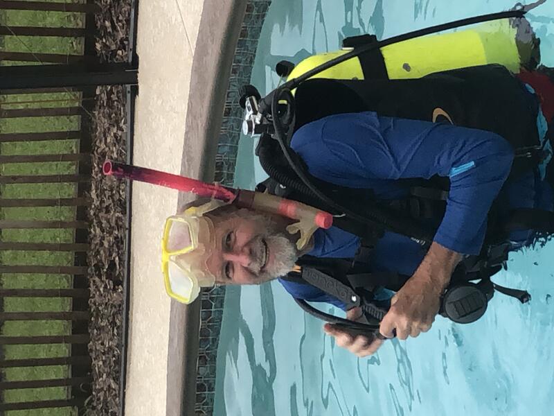 Name:  learning to dive.jpg
Views: 266
Size:  71.3 KB