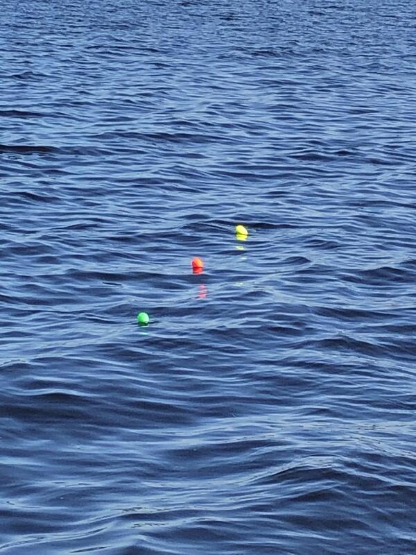 Name:  new floats jpeg.jpg
Views: 288
Size:  96.4 KB