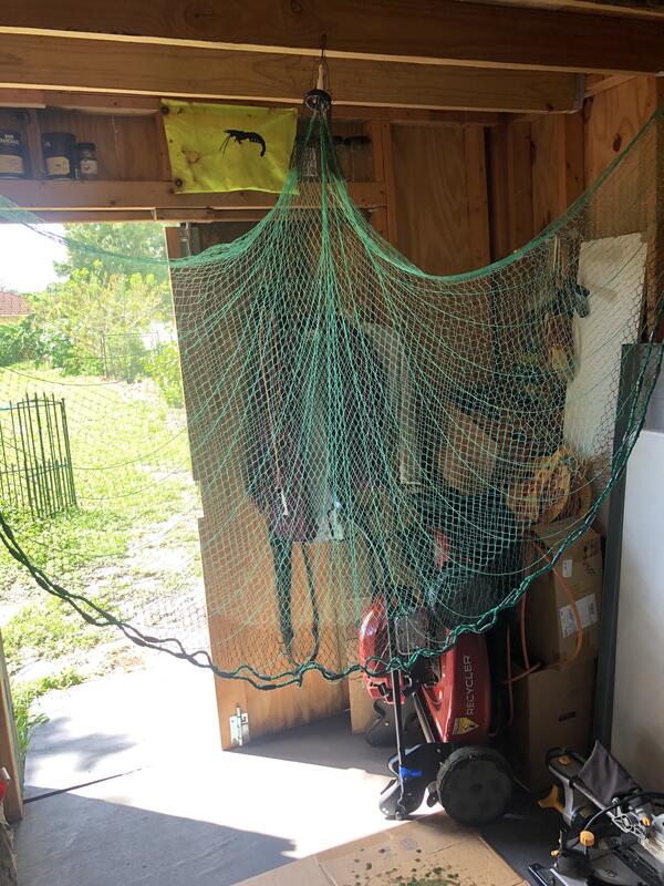 Name:  cast net drying jpeg.jpg
Views: 374
Size:  104.7 KB