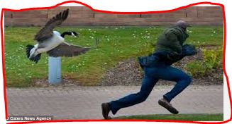 Name:  Capture.JPG
Views: 755
Size:  22.9 KB