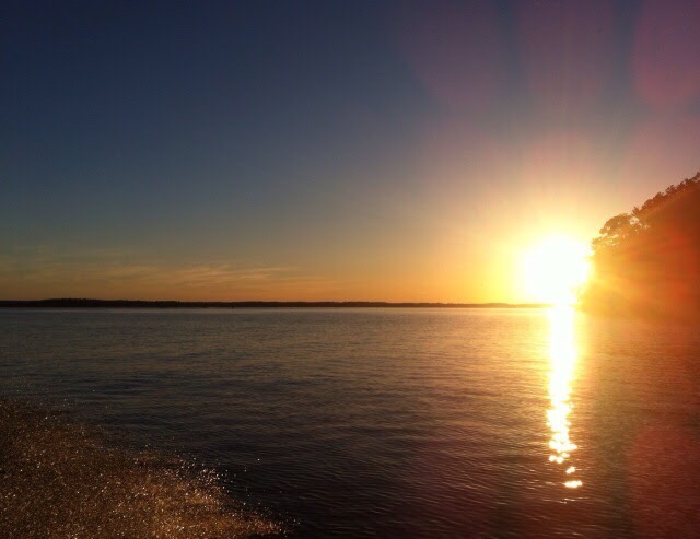 Name:  IMG_1177.jpg
Views: 7181
Size:  68.5 KB