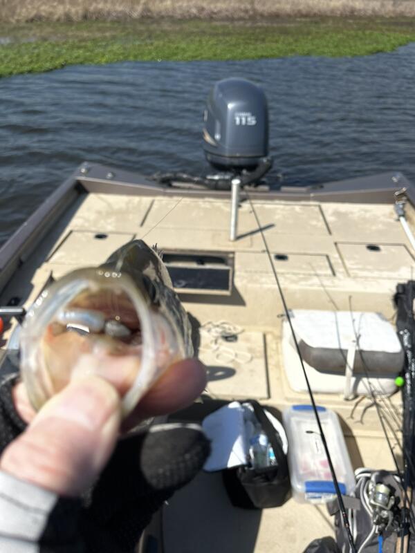 Name:  IMG_7624.jpg
Views: 155
Size:  56.3 KB