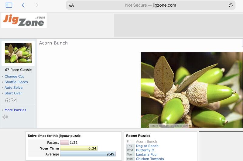 Name:  6AC70405-059F-46EF-B5D3-34D8C6D226EF.jpg
Views: 118
Size:  42.0 KB