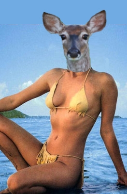 Name:  Doekini.jpg
Views: 118
Size:  71.6 KB