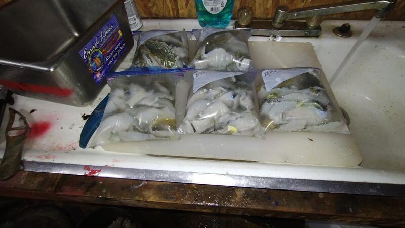 Name:  IMG_20250515_202840292.jpg
Views: 139
Size:  49.1 KB