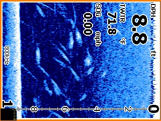 Name:  Screen004.jpg
Views: 253
Size:  70.1 KB