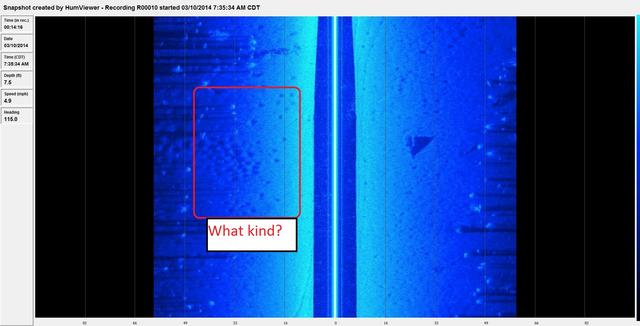 Name:  FISHBED2.jpg
Views: 354
Size:  26.1 KB