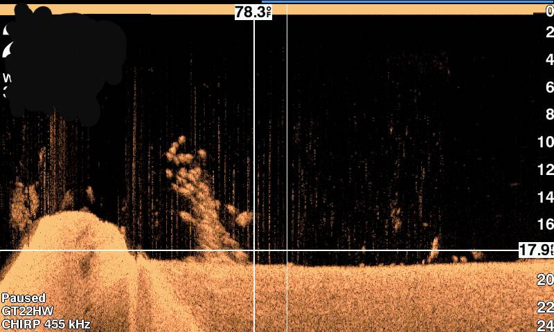 Name:  20180930_140042.jpeg
Views: 1274
Size:  66.1 KB
