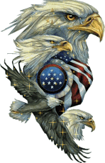 Name:  eagle2.gif
Views: 1166816
Size:  33.1 KB