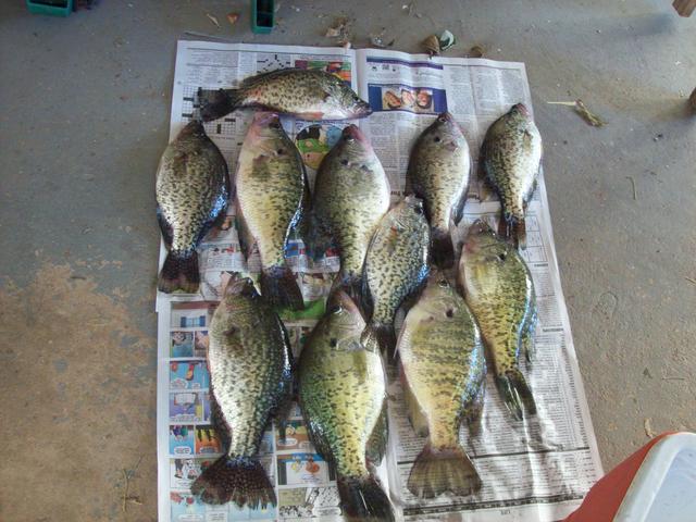 Name:  101_1050.jpg
Views: 131
Size:  57.6 KB