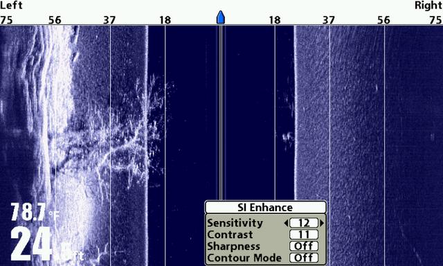 Name:  bgfsh2.jpg
Views: 157
Size:  46.0 KB