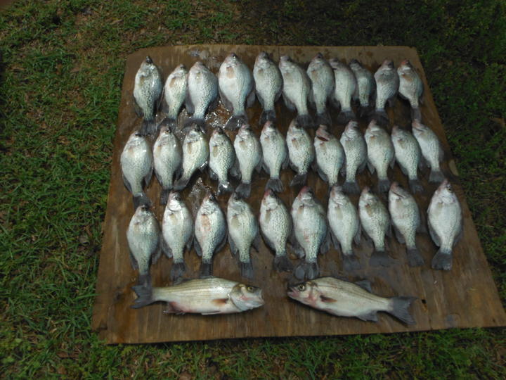 Name:  DSCF0074.jpg
Views: 208
Size:  75.0 KB