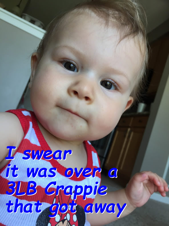 Name:  z.jpg
Views: 239
Size:  97.2 KB