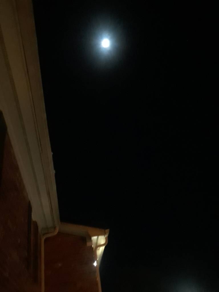 Name:  20190120_224357.jpeg
Views: 224
Size:  17.1 KB