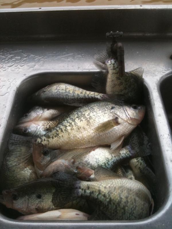 Name:  johnathon.jpg
Views: 108
Size:  56.8 KB