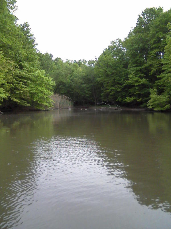 Name:  crappie 008.jpg
Views: 125
Size:  69.7 KB