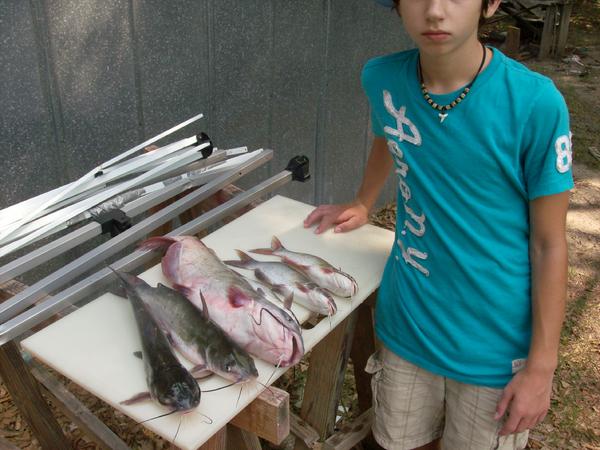 Name:  ujugging catfish 005.jpg
Views: 101
Size:  48.2 KB