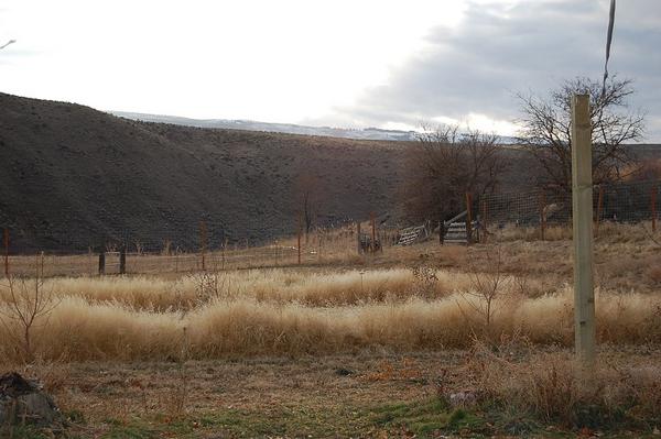 Name:  DSC_0030.jpg
Views: 102
Size:  38.6 KB