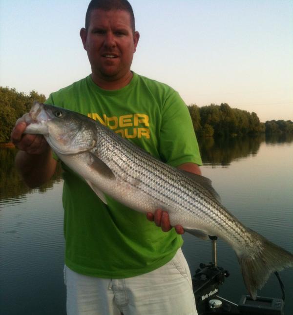 Name:  striper river.jpg
Views: 115
Size:  38.8 KB