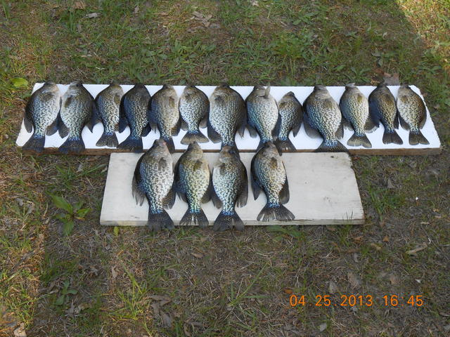 Name:  DSCN0074.jpg
Views: 198
Size:  86.5 KB
