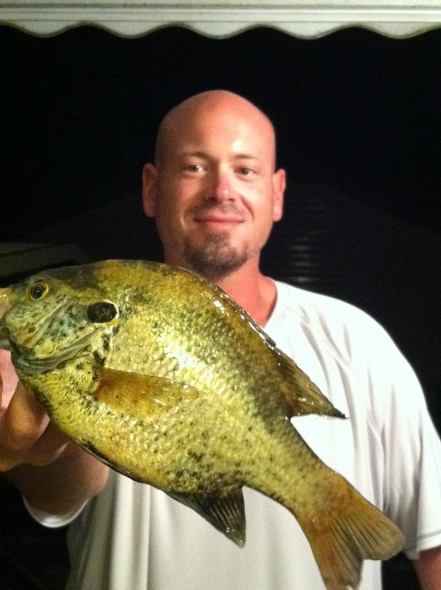 Name:  shellcracker.jpg
Views: 275
Size:  63.1 KB