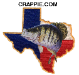 FroggerZack's Avatar