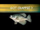 gotcrappie's Avatar