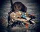 Kansasoutdoorsman's Avatar