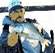 chippewa's Avatar