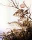Crappie Obsessed's Avatar