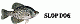 slop dog's Avatar