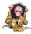 bwillaub's Avatar
