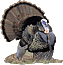 jvg's Avatar