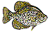 slabeater's Avatar