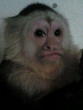 wilbur's Avatar