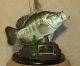 Speck-Tackle-Er's Avatar