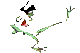 pondhopper's Avatar