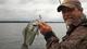 Reelfoot84's Avatar