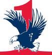 Eagle 1's Avatar