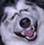 lifeisfun's Avatar