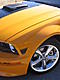 n2allmustangs's Avatar