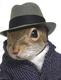 squirrell's Avatar