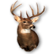 mobowhunter's Avatar