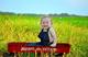 BabySam's Avatar