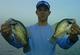 jayhawkcrappie's Avatar